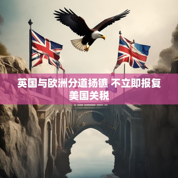 英国与欧洲分道扬镳 不立即报复美国关税