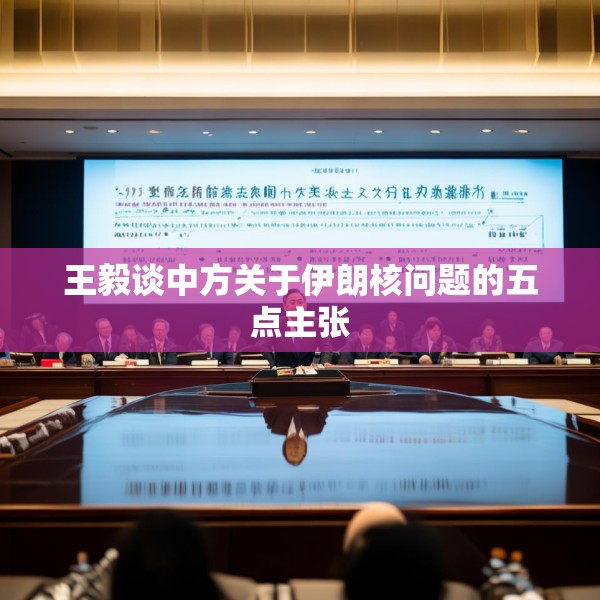 王毅谈中方关于伊朗核问题的五点主张