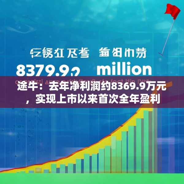 途牛：去年净利润约8369.9万元，实现上市以来首次全年盈利