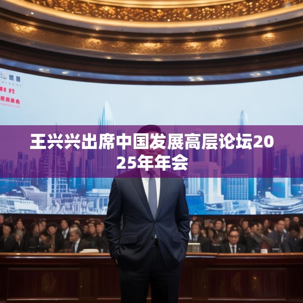 王兴兴出席中国发展高层论坛2025年年会
