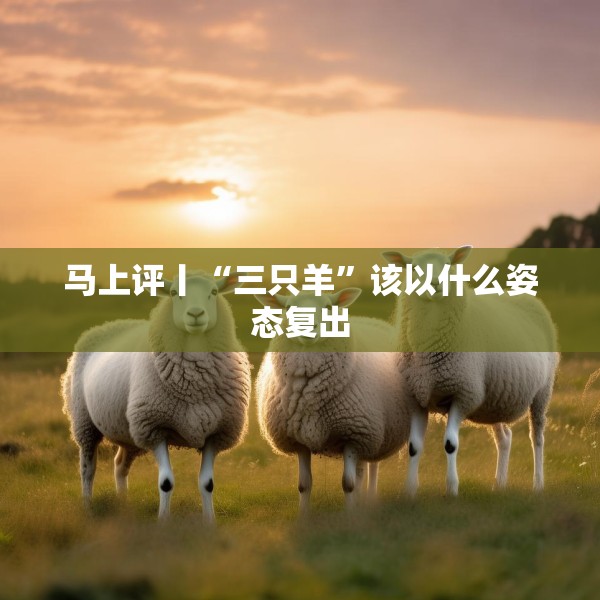 马上评丨“三只羊”该以什么姿态复出