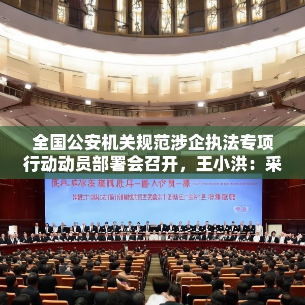 全国公安机关规范涉企执法专项行动动员部署会召开，王小洪：采取更具针对性、更有实效性的措施