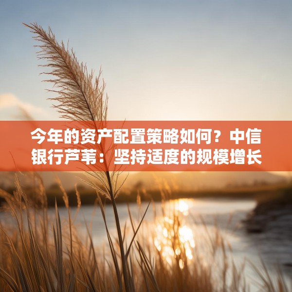 2025年3月27日 第20页