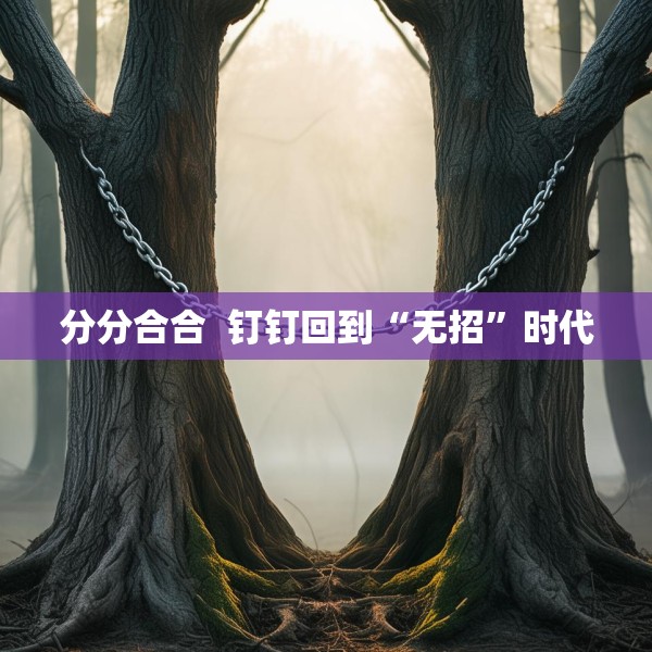 分分合合  钉钉回到“无招”时代