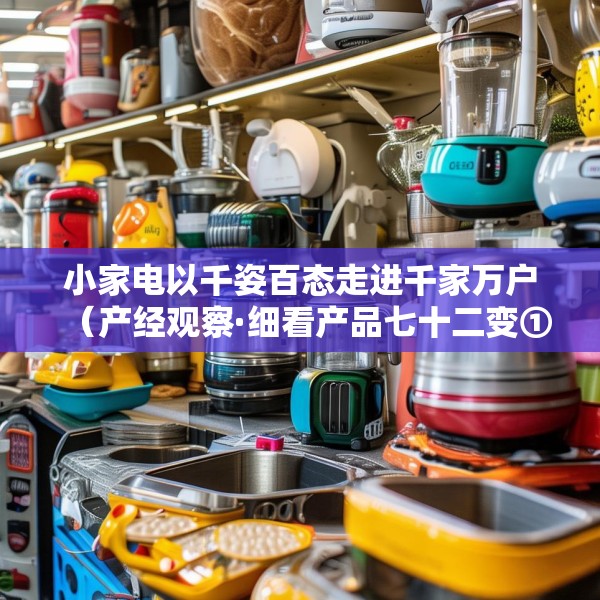 小家电以千姿百态走进千家万户（产经观察·细看产品七十二变①）