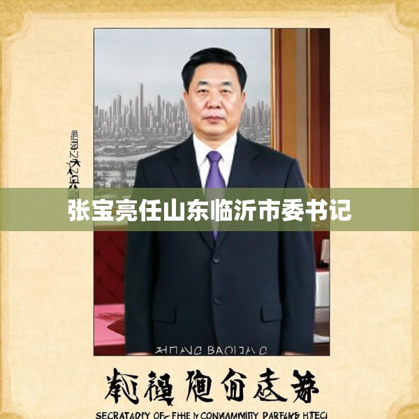 张宝亮任山东临沂市委书记