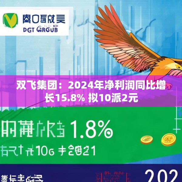 双飞集团：2024年净利润同比增长15.8% 拟10派2元