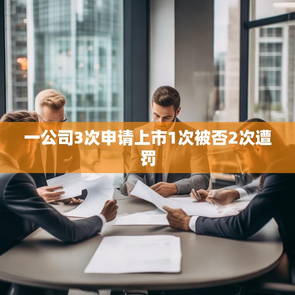 一公司3次申请上市1次被否2次遭罚