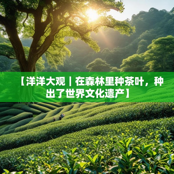 【洋洋大观｜在森林里种茶叶，种出了世界文化遗产】