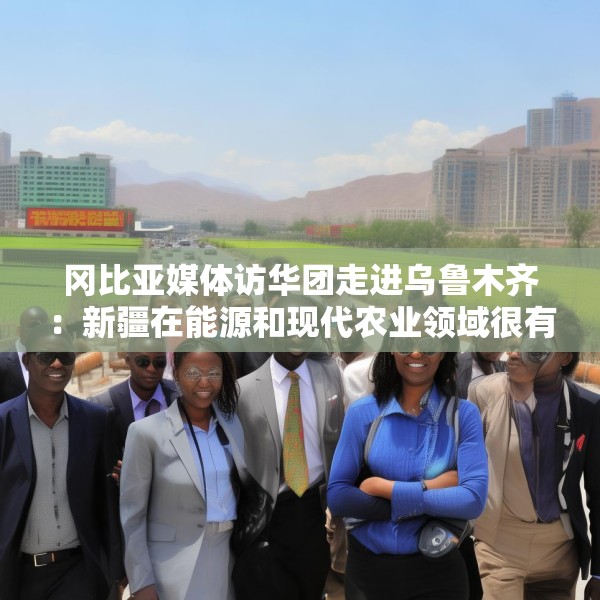 冈比亚媒体访华团走进乌鲁木齐：新疆在能源和现代农业领域很有借鉴意义