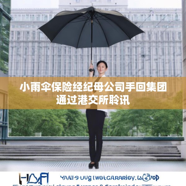 小雨伞保险经纪母公司手回集团通过港交所聆讯