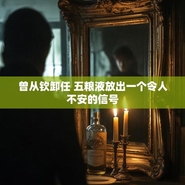 曾从钦卸任 五粮液放出一个令人不安的信号