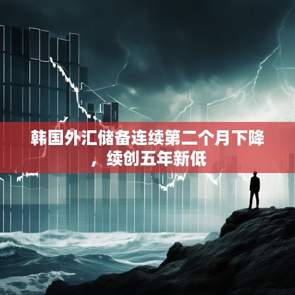 韩国外汇储备连续第二个月下降，续创五年新低
