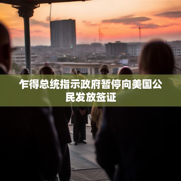 乍得总统指示政府暂停向美国公民发放签证