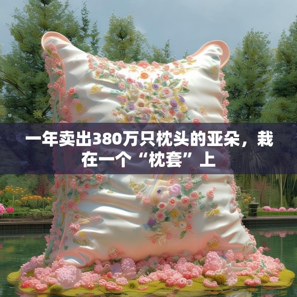 一年卖出380万只枕头的亚朵，栽在一个“枕套”上
