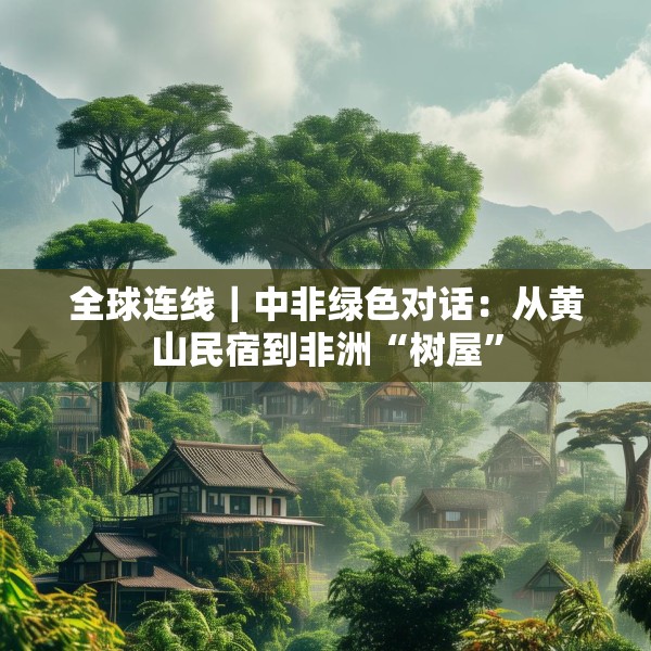 全球连线｜中非绿色对话：从黄山民宿到非洲“树屋”