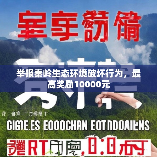 2025年6月8日 第10页