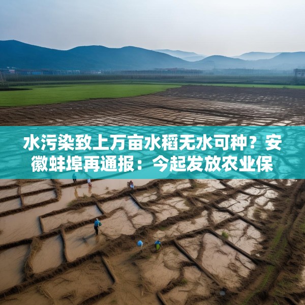 水污染致上万亩水稻无水可种？安徽蚌埠再通报：今起发放农业保险赔付