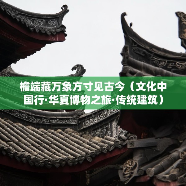 檐端藏万象方寸见古今（文化中国行·华夏博物之旅·传统建筑）