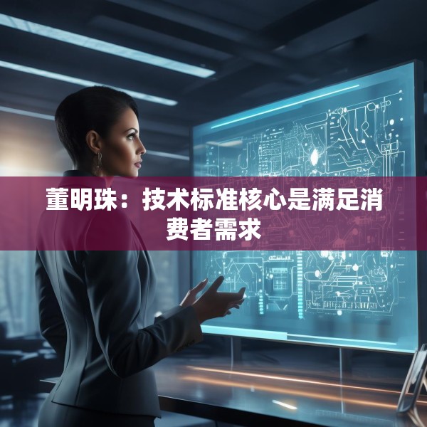 董明珠：技术标准核心是满足消费者需求